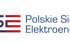 logo-PSE