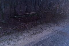 eRemiza_1119084_61cffe8f1ecc5032ec8b53f3.j7n.8