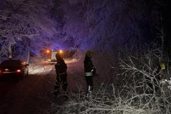 #10 11.01.2025r. Choczewo ul. Pierwszych Osadników - powalone drzewo na DW 213