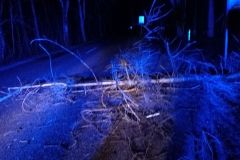 eRemiza_1119084_63efc5f1d4da760dd8f44f6a.YtX_.8