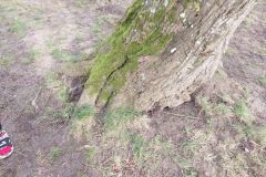 eRemiza_1119084_63f093b9d4da760dd8f45c2f.17eu.8
