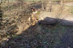 eRemiza_1119084_63f1f190d4da7629fce82a5d.1Mqx.8