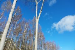 eRemiza_1119084_63f20ad5d4da7629fce82e48.mG2_.8