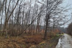 eRemiza_1119084_63f345e3d4da763b3470d08e.1L4a.8