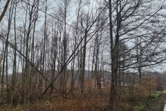 eRemiza_1119084_63f345eed4da763b3470d096.1ONM.8