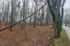 eRemiza_1119084_63f36598d4da763b3470d290.1KRT.8