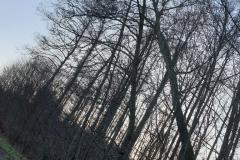 eRemiza_1119084_5e0b4f101ecc5054f8d9661b.12MP.8