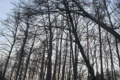 eRemiza_1119084_5e0b4f261ecc5054f8d96622.1CwK.8