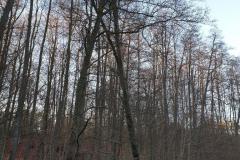 eRemiza_1119084_5e0b4f5f1ecc5054f8d96632.18Z9.8