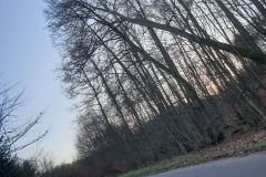eRemiza_1119084_5e0b4f9a1ecc5054f8d96642.12oI.8