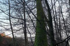 eRemiza_1119084_5e0b4fc61ecc5054f8d96649.1Gzg.8