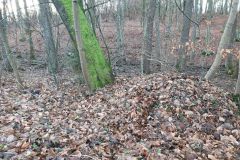 eRemiza_1119084_5e0b4fe41ecc5054f8d96651.1O2O.8