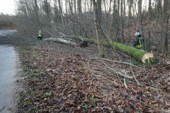 eRemiza_1119084_5e0b527f1ecc5054f8d966a6.1IWu.8