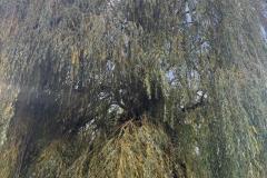 eRemiza_1119084_69049b3ed4da760b0021ba4c.1B6E.8