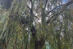 eRemiza_1119084_69049b49d4da760b0021ba56.1B4b.8