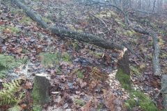 eRemiza_1119084_674875c2d4da763784f56acc.1OA3.8