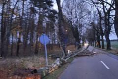 eRemiza_1119084_6197b9751ecc50182cb11cb9.hWR_.8