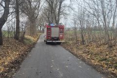 #103 29.11.2024r. Gardkowice - konar drzewa zwisający na drogą gminną