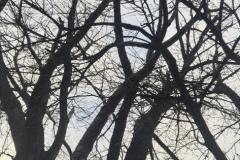 eRemiza_1119084_674986bad4da763784f56c6b.k8r.8