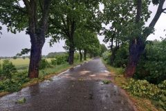 #106 01.07.2022r. Lublewo Lęborskie - powalone drzewo na drogę gminną
