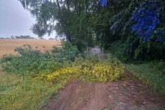 eRemiza_1119084_62bf42b8d4da76478c86bd21.q16.8