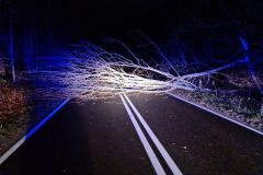 eRemiza_1119084_619807ba1ecc501b80498f41.YL0_.8