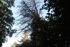 eRemiza_1119084_5f6779341ecc5054f8229c95.2Lbc.8