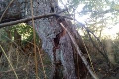 eRemiza_1119084_5f67794c1ecc5054f8229c9e.1gEc.8