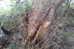 eRemiza_1119084_5f6779691ecc5054f8229ca6.hit_.8