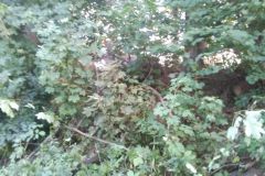 eRemiza_1119084_5f677d931ecc5054f8229cb7.fVV_.8