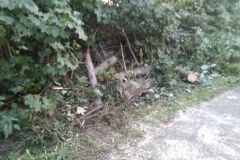 eRemiza_1119084_5f677d9f1ecc5054f8229cbe.clm_.8