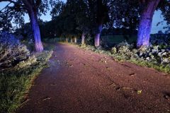 #108 01.07.2022r. Zwartówko powalone drzewo na drogę powiatową
