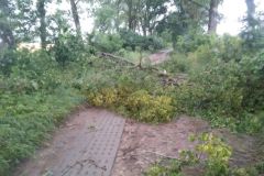 eRemiza_1119084_62bfbebad4da76478c86d200.dQA_.8