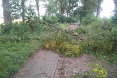eRemiza_1119084_62bfbecfd4da76478c86d20a.bbI_.8