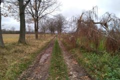 eRemiza_1119084_6198c0c21ecc501b8049a253.uf4_.8