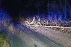 IMG-20200209-WA0004