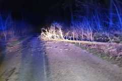 IMG-20200209-WA0005