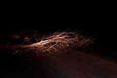 IMG-20200209-WA0006