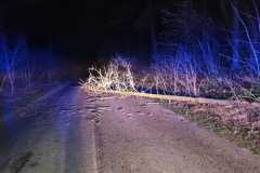 IMG-20200209-WA0011