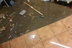eRemiza_1119084_6023fef01ecc503cdc11a4ee.ULu_.8