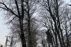eRemiza_1119084_67603e9cd4da7646100616a5.1NSR.8