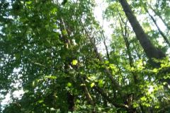 eRemiza_1119084_5f7072a81ecc5056dcd0e0c7.qkC_.8