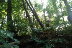 eRemiza_1119084_5f7072b81ecc5056dcd0e0cf.lj2_.8