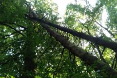 eRemiza_1119084_5f7072d61ecc5056dcd0e0dd.rQ7_.8