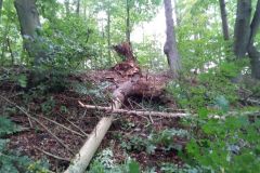 eRemiza_1119084_5f70774c1ecc5056dcd0e138.qWg_.8