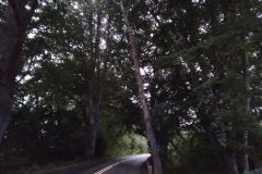 eRemiza_1119084_5f70b9361ecc5056dcd0e24b.YZC_.8