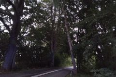 eRemiza_1119084_5f70b9461ecc5056dcd0e253.ajt_.8
