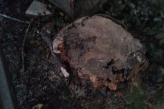 eRemiza_1119084_5f70bc0f1ecc5056dcd0e2a4.LnE_.8