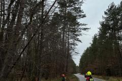 #111 16.12.2024r. Choczewo ul. Kusocińskiego - drzewo zagrażające powaleniem na DP 1437G