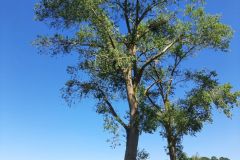eRemiza_1119084_62c18f6dd4da763c748dff1a.pGd_.8